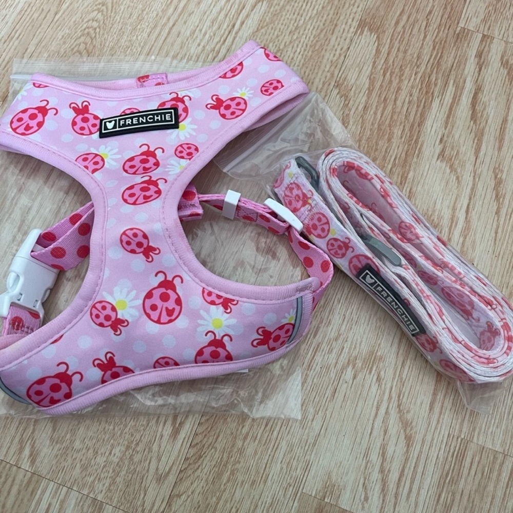 Lady Frenchie bulldog harness set size medium